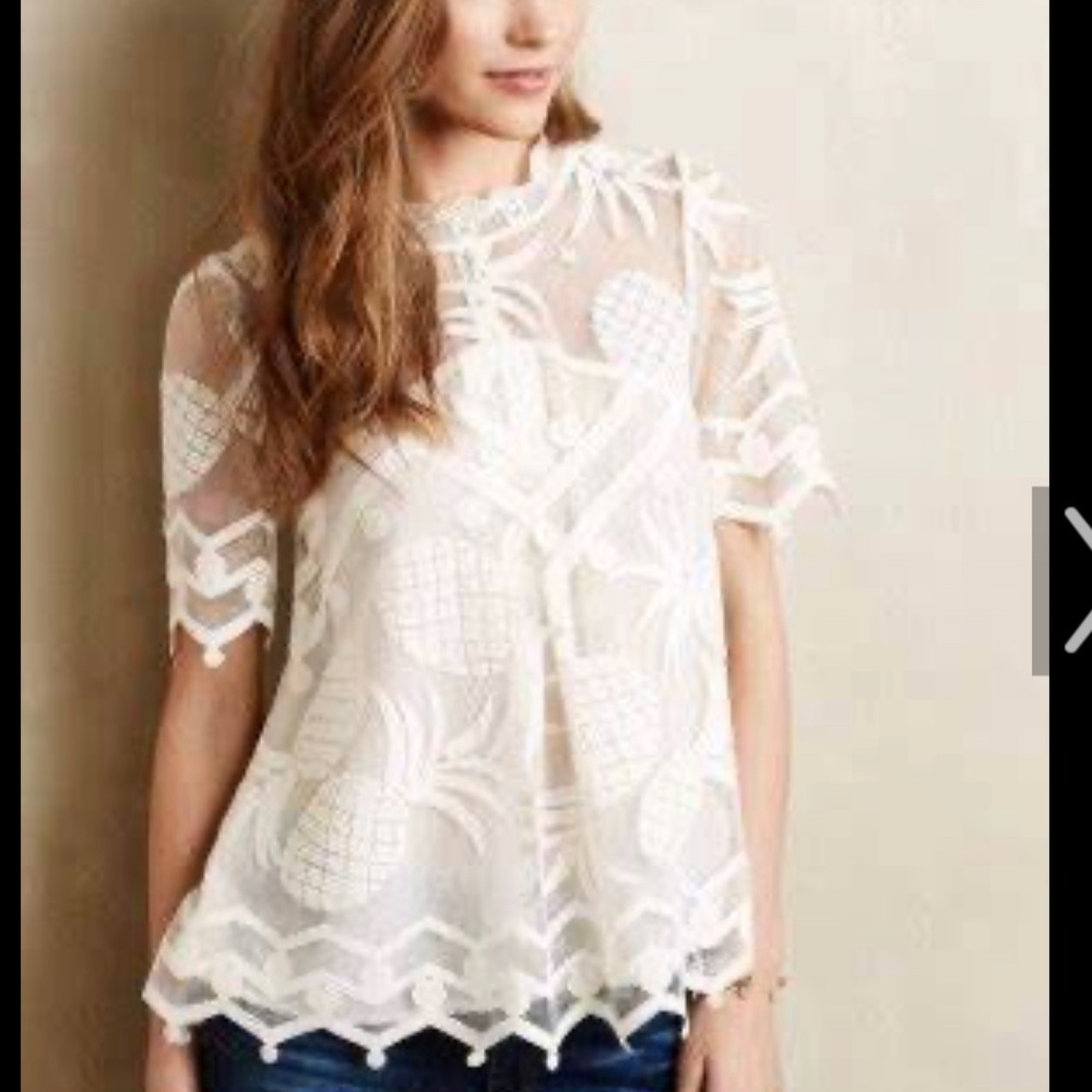 Anthropologie HD in Paris lace Pineapple blouse